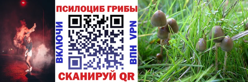 Галлюциногенные грибы ЛСД  Лесозаводск 